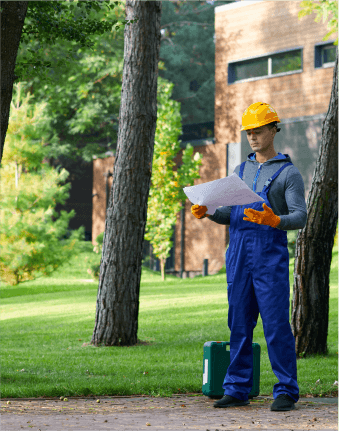 experienced-arborists