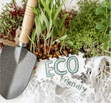 germination-of-microgreens-germination-of-seeds